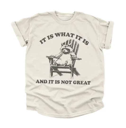 Vintage Raccoon 90s T-Shirt – Funny Y2K Meme Graphic, Retro Trashcore Tee